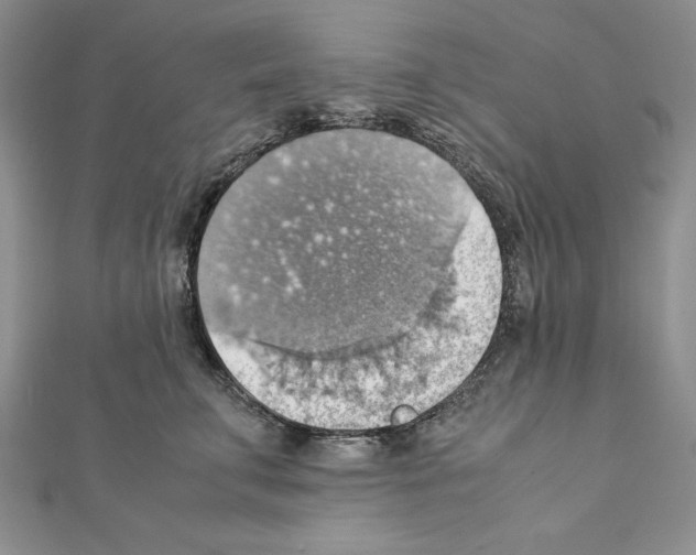 X0000111350711200908211234