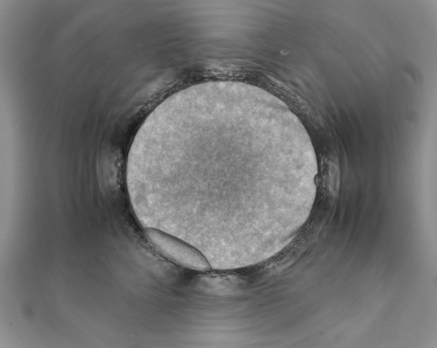 X0000111350712200908211234
