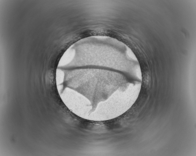 X0000111350715200908211234