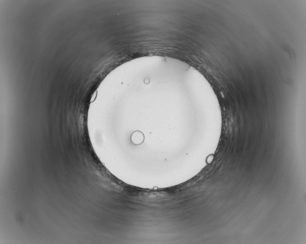 X0000111350716200908211234
