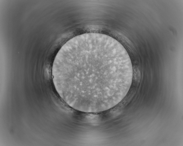 X0000111350718200908211234