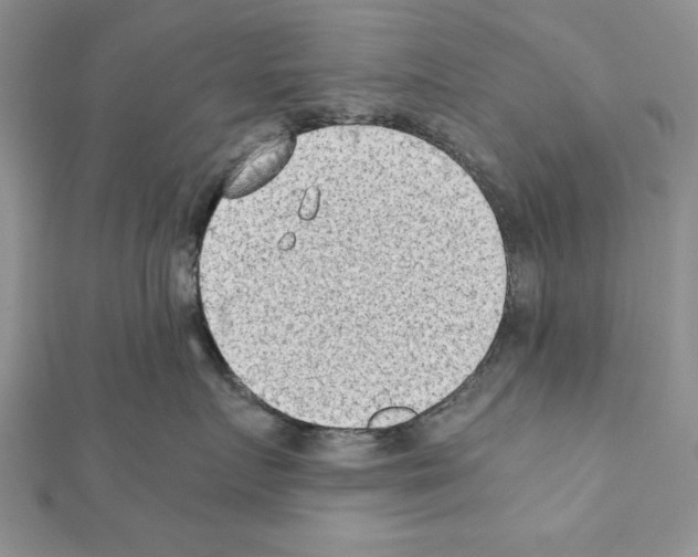 X0000111350719200908211234
