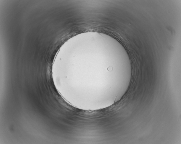 X0000111350720200908211234