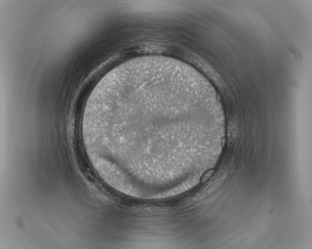 X0000111350722200908211234
