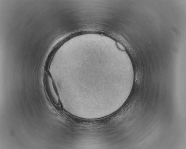 X0000111350724200908211234