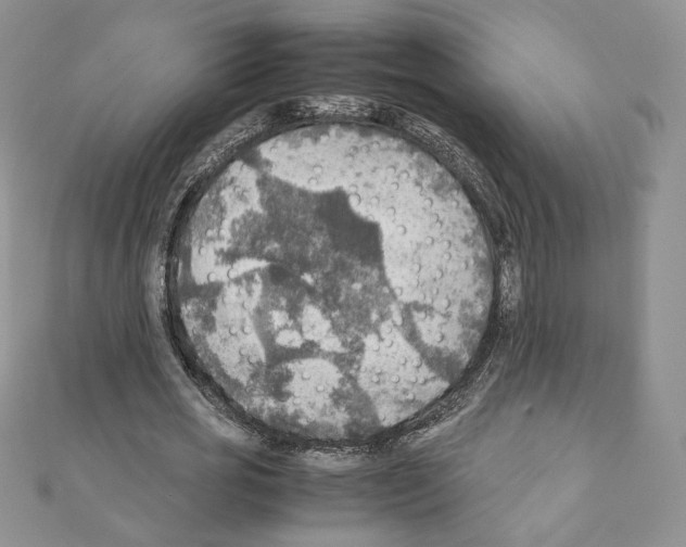 X0000111350725200908211234