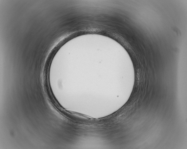 X0000111350726200908211234