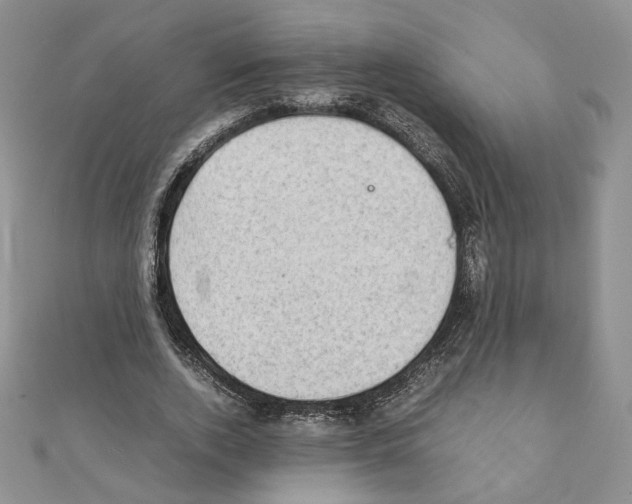 X0000111350728200908211234