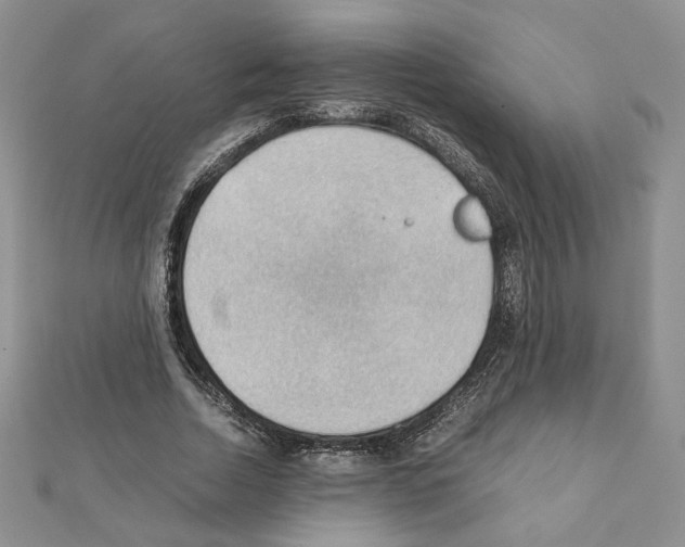 X0000111350730200908211234