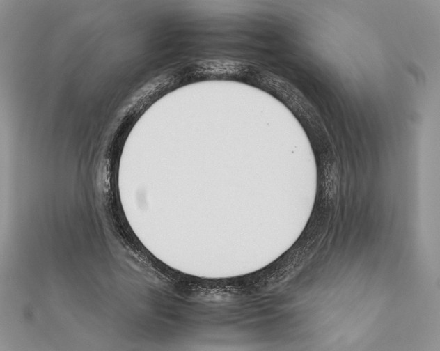 X0000111350731200908211234