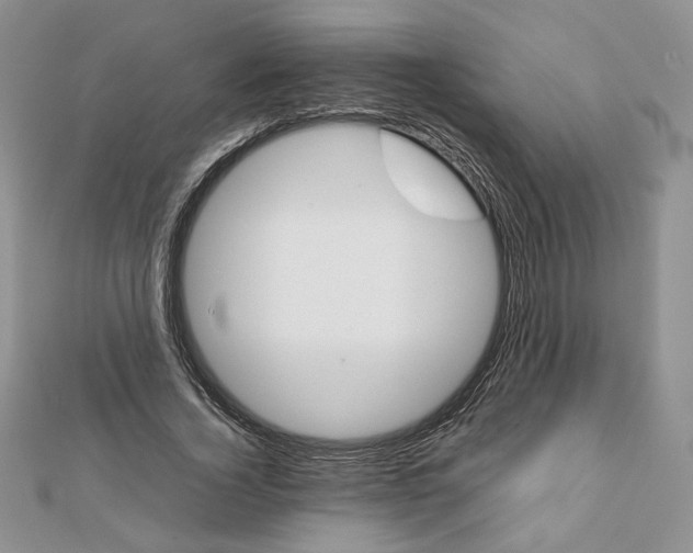 X0000111350732200908211234