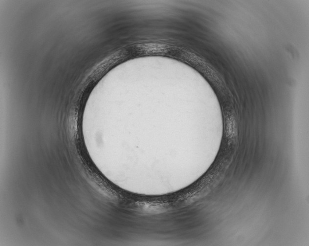 X0000111350733200908211234