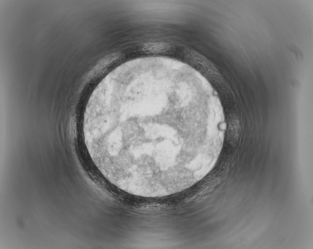X0000111350734200908211234