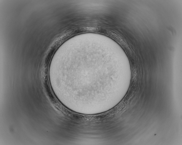 X0000111350736200908211234