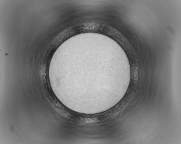 X0000111350737200908211234