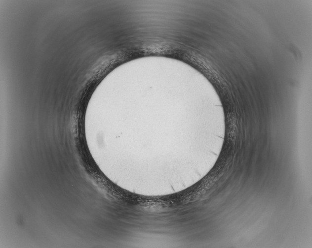 X0000111350738200908211234
