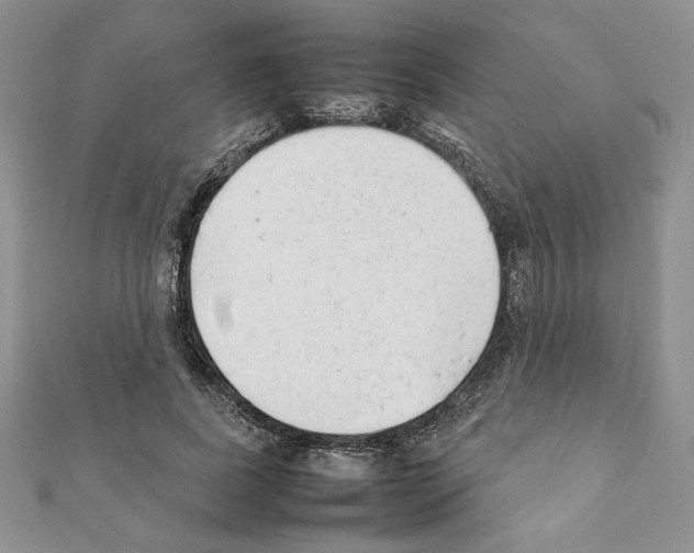 X0000111350739200908211234