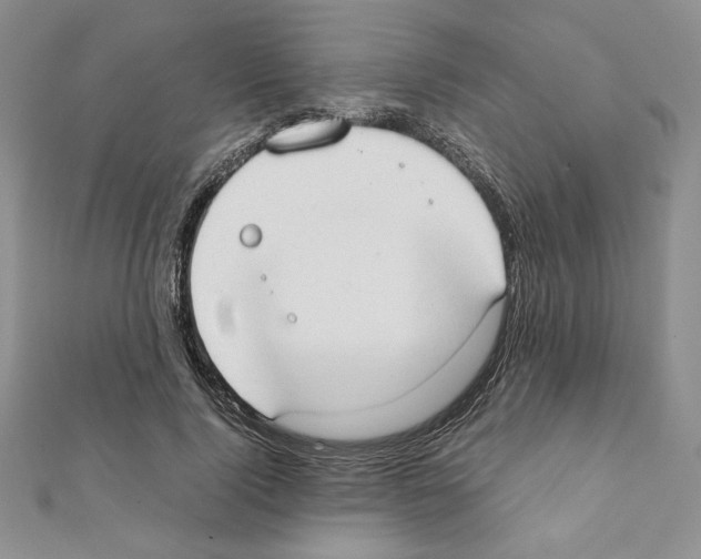 X0000111350740200908211234