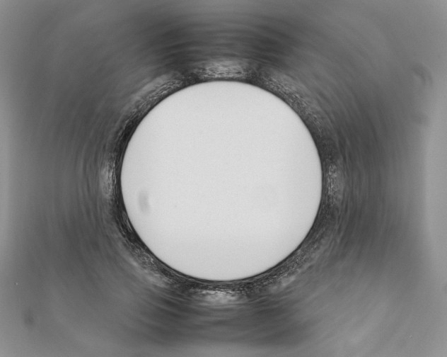 X0000111350741200908211234
