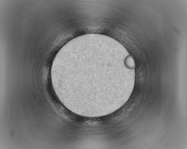 X0000111350742200908211234
