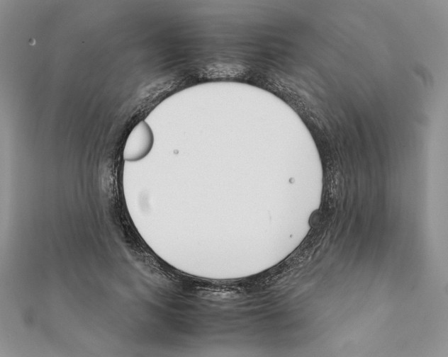 X0000111350743200908211234
