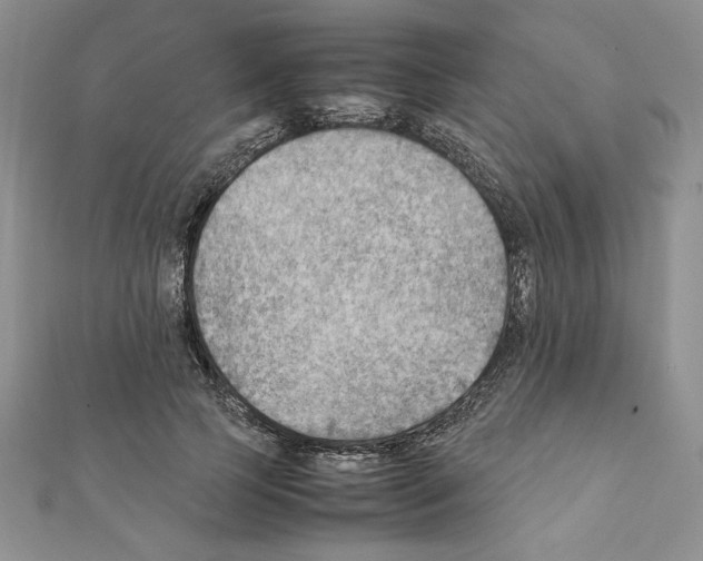 X0000111350745200908211234
