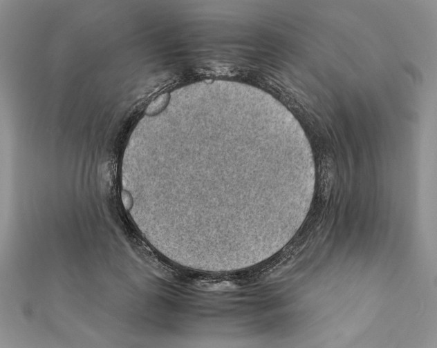 X0000111350747200908211234