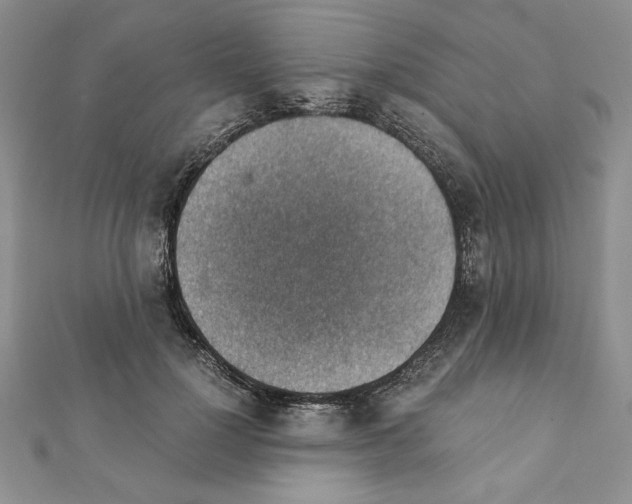 X0000111350748200908211234