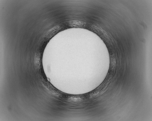 X0000111350749200908211234