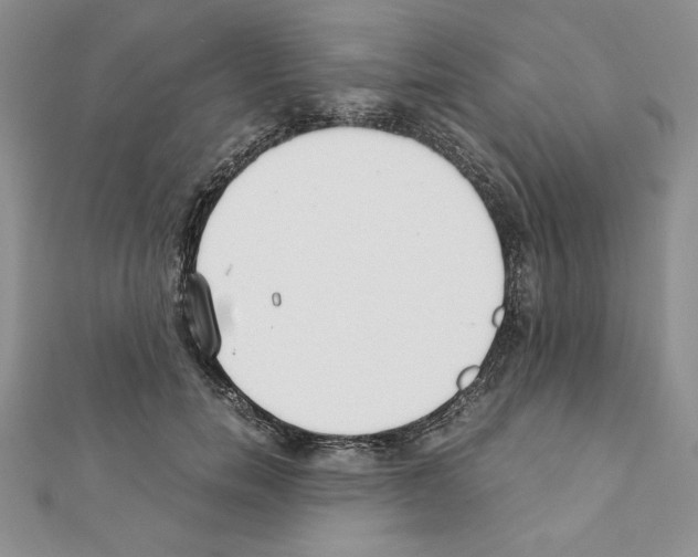 X0000111350750200908211234