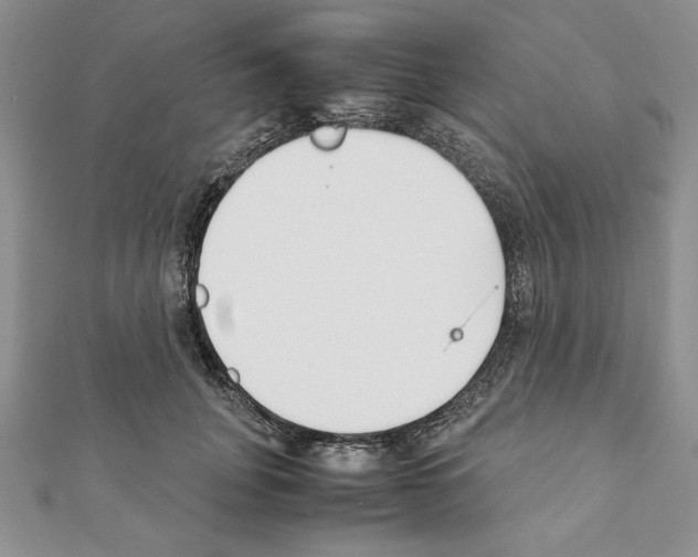 X0000111350751200908211234