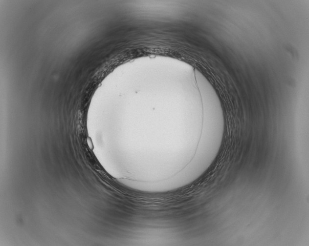 X0000111350752200908211234