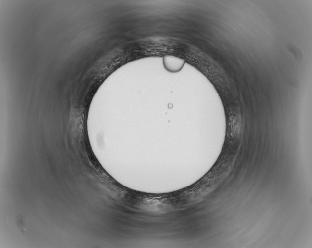 X0000111350753200908211234