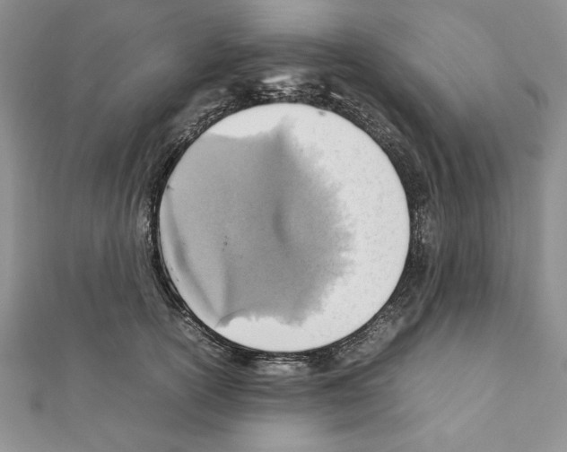 X0000111350754200908211234