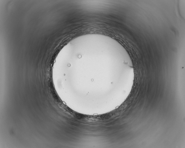 X0000111350756200908211234