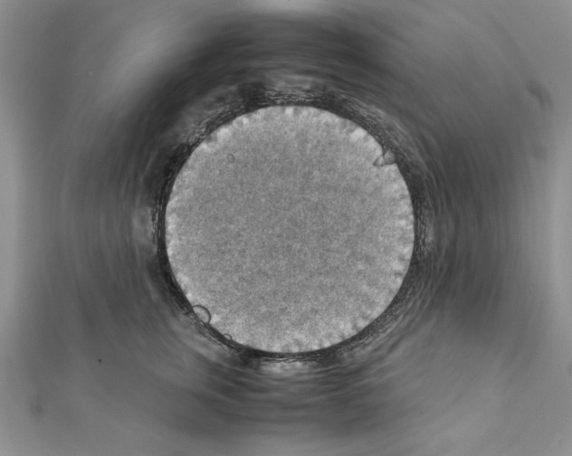 X0000111350759200908211234