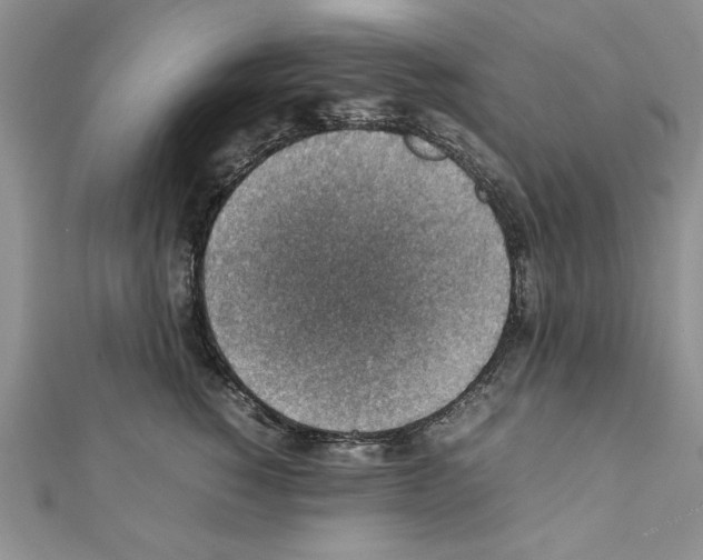 X0000111350760200908211234