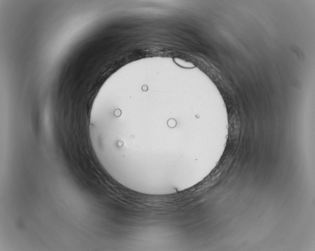 X0000111350762200908211234