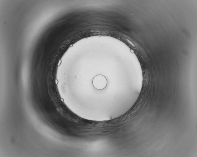 X0000111350764200908211234