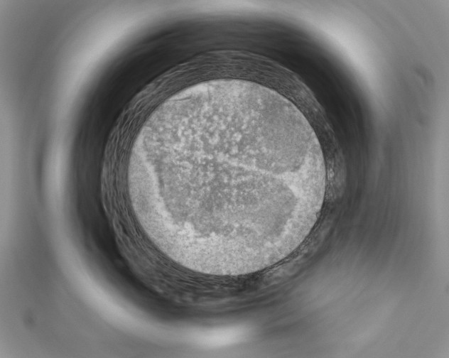 X0000111350765200908211234