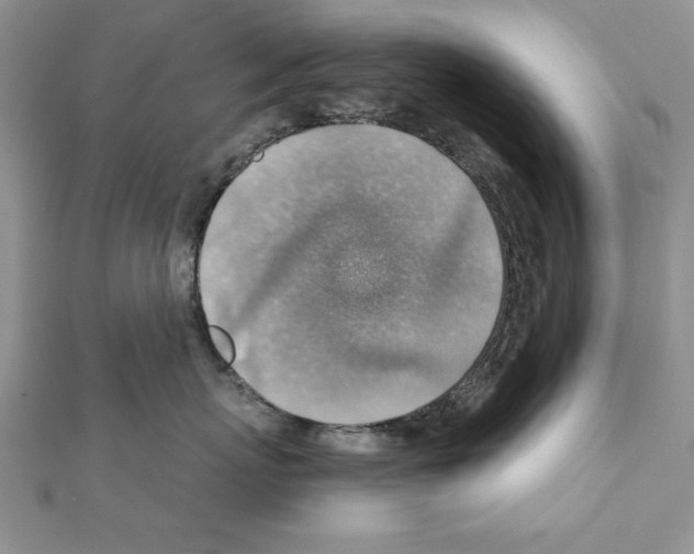 X0000111350767200908211234