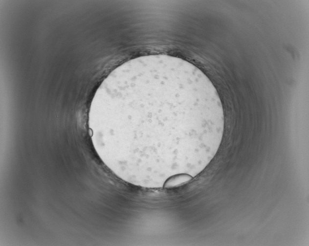 X0000111350768200908211234