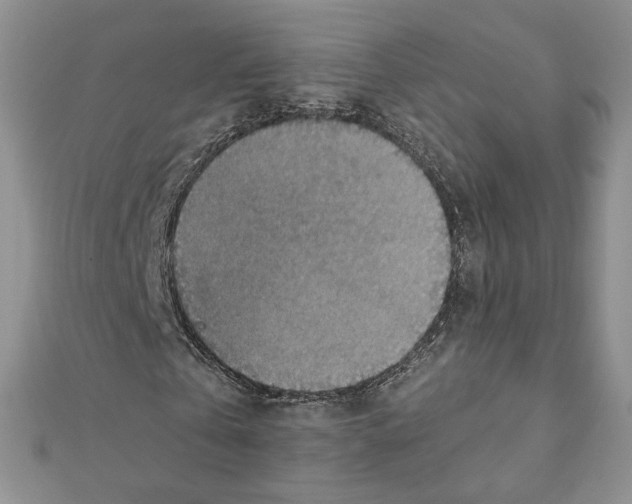 X0000111350769200908211234
