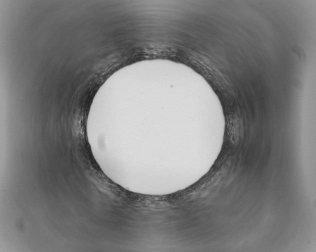 X0000111350770200908211234