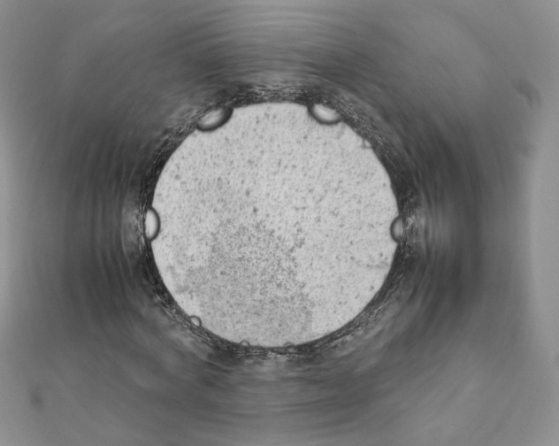 X0000111350772200908211234