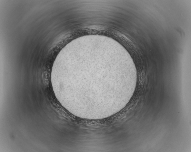 X0000111350774200908211233