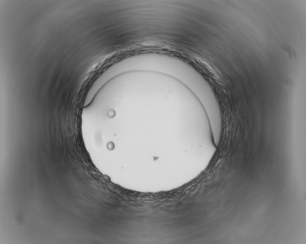 X0000111350776200908211233
