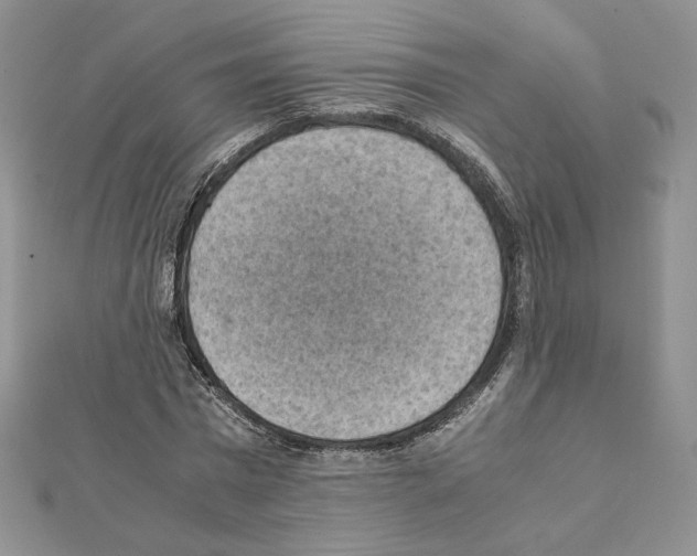 X0000111350777200908211233