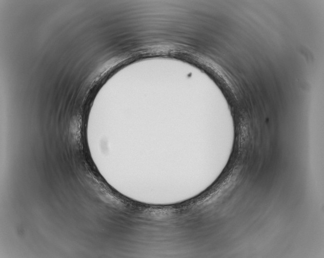 X0000111350778200908211233