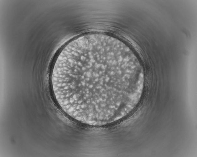 X0000111350779200908211233